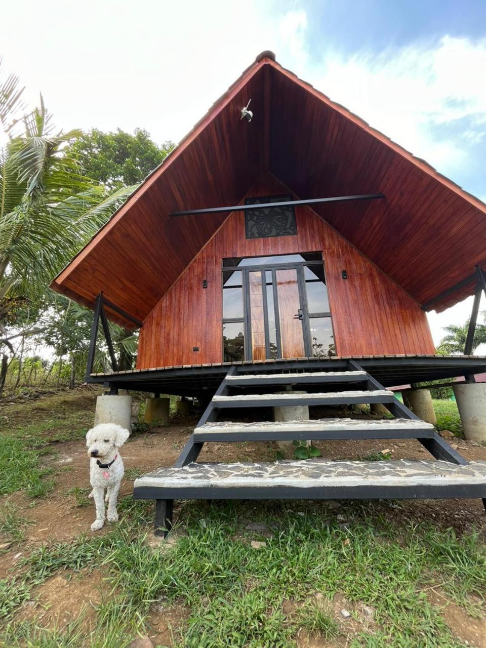 Myra Chalets Bijagua Exterior photo